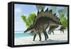 Stegosaurus Dinosaurs Drinking from a Jurassic Lake-null-Framed Stretched Canvas