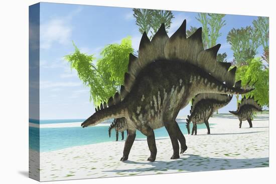 Stegosaurus Dinosaurs Drinking from a Jurassic Lake-null-Stretched Canvas