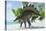 Stegosaurus Dinosaurs Drinking from a Jurassic Lake-null-Stretched Canvas