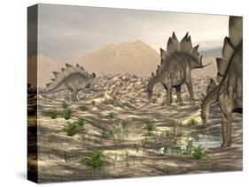 Stegosaurus Dinosaurs Searching for Water in a Desert Landscape-null-Stretched Canvas