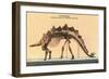 Stegosaurus Skeleton-null-Framed Art Print