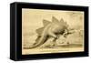 Stegosaurus Ungulatus-Joseph Smit-Framed Stretched Canvas