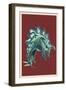 Stegosaurus-Lantern Press-Framed Art Print