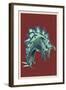 Stegosaurus-Lantern Press-Framed Art Print