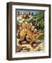 Stegosaurus-Payne-Framed Premium Giclee Print