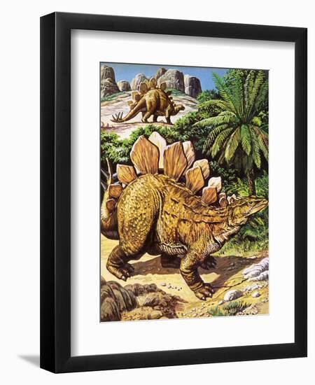 Stegosaurus-Payne-Framed Premium Giclee Print