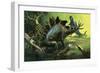 Stegosaurus-English School-Framed Giclee Print