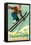 Steiermark Ski Poster-null-Framed Stretched Canvas
