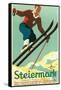 Steiermark Ski Poster-null-Framed Stretched Canvas