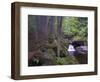 Steinklamm, rainforest, the Bavarian Forest, big Ohe, Spiegelau, Bavaria, Germany-Michael Jaeschke-Framed Photographic Print