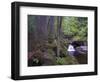 Steinklamm, rainforest, the Bavarian Forest, big Ohe, Spiegelau, Bavaria, Germany-Michael Jaeschke-Framed Photographic Print