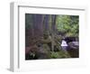 Steinklamm, rainforest, the Bavarian Forest, big Ohe, Spiegelau, Bavaria, Germany-Michael Jaeschke-Framed Photographic Print