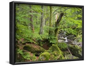 Steinklamm, Spiegelau, the Bavarian Forest, Bavaria, Germany-Michael Jaeschke-Framed Photographic Print