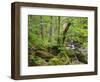 Steinklamm, Spiegelau, the Bavarian Forest, Bavaria, Germany-Michael Jaeschke-Framed Photographic Print