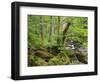 Steinklamm, Spiegelau, the Bavarian Forest, Bavaria, Germany-Michael Jaeschke-Framed Photographic Print