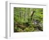 Steinklamm, Spiegelau, the Bavarian Forest, Bavaria, Germany-Michael Jaeschke-Framed Photographic Print