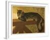 Steinlen Cat-null-Framed Giclee Print