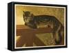Steinlen Cat-null-Framed Stretched Canvas