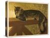 Steinlen Cat-null-Stretched Canvas