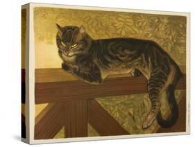 Steinlen Cat-null-Stretched Canvas