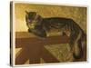 Steinlen Cat-null-Stretched Canvas