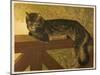 Steinlen Cat-null-Mounted Giclee Print