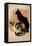 Steinlen, Two Cats-null-Framed Stretched Canvas