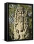 Stela A Dating From 731 AD, Copan Archaeological Park, UNESCO World Heritage Site, Honduras-null-Framed Stretched Canvas