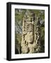 Stela A Dating From 731 AD, Copan Archaeological Park, UNESCO World Heritage Site, Honduras-null-Framed Photographic Print