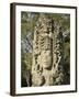 Stela A Dating From 731 AD, Copan Archaeological Park, UNESCO World Heritage Site, Honduras-null-Framed Photographic Print