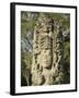 Stela A Dating From 731 AD, Copan Archaeological Park, UNESCO World Heritage Site, Honduras-null-Framed Photographic Print
