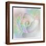 Brown Frame