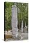 Stelae in Front of Structure 1, Calakmul Mayan Archaeological Site, Campeche, Mexico, North America-Richard Maschmeyer-Stretched Canvas