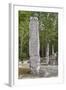 Stelae in Front of Structure 1, Calakmul Mayan Archaeological Site, Campeche, Mexico, North America-Richard Maschmeyer-Framed Photographic Print