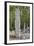 Stelae in Front of Structure 1, Calakmul Mayan Archaeological Site, Campeche, Mexico, North America-Richard Maschmeyer-Framed Photographic Print