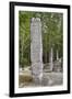 Stelae in Front of Structure 1, Calakmul Mayan Archaeological Site, Campeche, Mexico, North America-Richard Maschmeyer-Framed Photographic Print