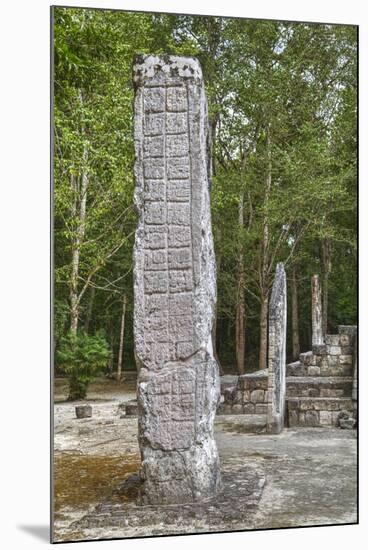 Stelae in Front of Structure 1, Calakmul Mayan Archaeological Site, Campeche, Mexico, North America-Richard Maschmeyer-Mounted Photographic Print