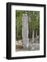 Stelae in Front of Structure 1, Calakmul Mayan Archaeological Site, Campeche, Mexico, North America-Richard Maschmeyer-Framed Photographic Print