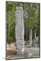 Stelae in Front of Structure 1, Calakmul Mayan Archaeological Site, Campeche, Mexico, North America-Richard Maschmeyer-Mounted Photographic Print