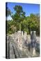 Stelae in Front of Structure 2, Calakmul Mayan Archaeological Site, Campeche, Mexico, North America-Richard Maschmeyer-Stretched Canvas