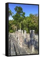 Stelae in Front of Structure 2, Calakmul Mayan Archaeological Site, Campeche, Mexico, North America-Richard Maschmeyer-Framed Stretched Canvas