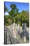 Stelae in Front of Structure 2, Calakmul Mayan Archaeological Site, Campeche, Mexico, North America-Richard Maschmeyer-Stretched Canvas