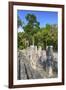 Stelae in Front of Structure 2, Calakmul Mayan Archaeological Site, Campeche, Mexico, North America-Richard Maschmeyer-Framed Photographic Print