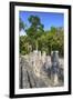 Stelae in Front of Structure 2, Calakmul Mayan Archaeological Site, Campeche, Mexico, North America-Richard Maschmeyer-Framed Photographic Print