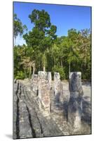 Stelae in Front of Structure 2, Calakmul Mayan Archaeological Site, Campeche, Mexico, North America-Richard Maschmeyer-Mounted Photographic Print