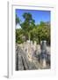 Stelae in Front of Structure 2, Calakmul Mayan Archaeological Site, Campeche, Mexico, North America-Richard Maschmeyer-Framed Photographic Print