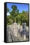 Stelae in Front of Structure 2, Calakmul Mayan Archaeological Site, Campeche, Mexico, North America-Richard Maschmeyer-Framed Stretched Canvas