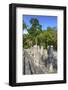 Stelae in Front of Structure 2, Calakmul Mayan Archaeological Site, Campeche, Mexico, North America-Richard Maschmeyer-Framed Photographic Print