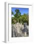 Stelae in Front of Structure 2, Calakmul Mayan Archaeological Site, Campeche, Mexico, North America-Richard Maschmeyer-Framed Photographic Print