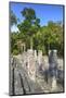 Stelae in Front of Structure 2, Calakmul Mayan Archaeological Site, Campeche, Mexico, North America-Richard Maschmeyer-Mounted Photographic Print